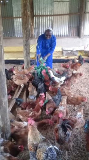 Sisters and Chicken Improving The Living Standards of the Youth- Sister Christine’s Story