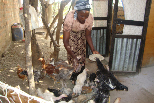 Improving Life at the Kenyan Coast- Our Work with the Pastors and Women in Malindi